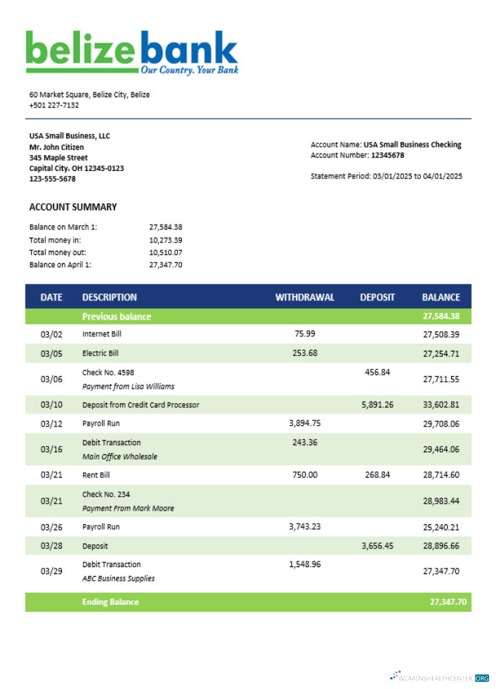 Download Belizean bank company checking account statement Word and PDF template Photoshop template